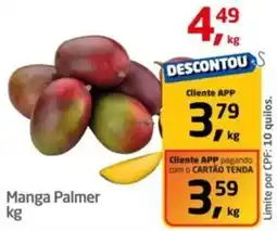Tenda Atacado Manga Palmer oferta