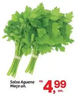 Fort Atacadista Salsa Aguena Maço un. oferta