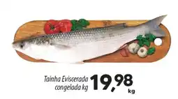 Asun Tainha Eviscerada congelada oferta