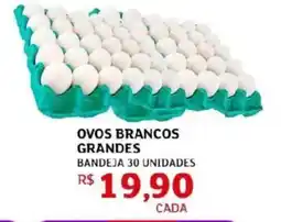 Assaí Atacadista Ovos brancos grandes oferta