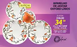 Lojas Cem Aparelho de jantar oxford lírios oferta