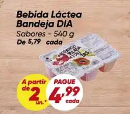 Dia Bebida Láctea Bandeja DIA Sabores oferta