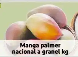 Mercado Extra Manga palmer nacional a granel oferta