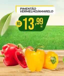 Supermercado Precito Pimentão vermelho/amarelo oferta