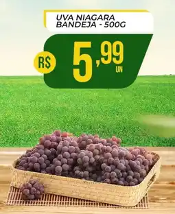 Supermercado Precito Uva niagara bandeja oferta