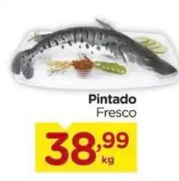 Carrefour Pintado Fresco oferta