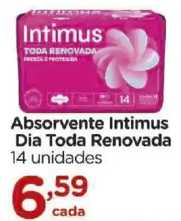 Carrefour Absorvente Intimus Dia Toda Renovada oferta