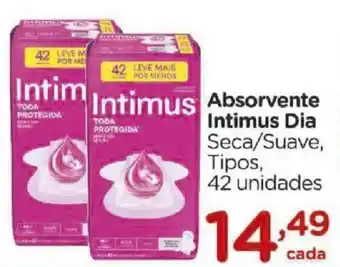 Carrefour Absorvente Intimus Dia oferta