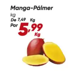 Dia Manga-Pálmer oferta