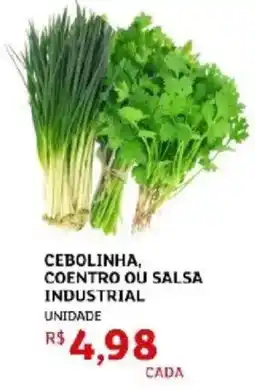 Assaí Atacadista Cebolinha, coentro ou salsa industrial oferta