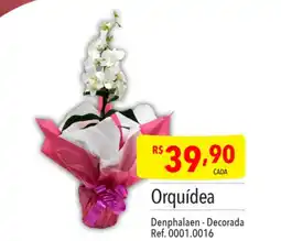 Supermercados Condor Orquídea Denphalaen Decorada oferta