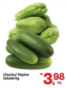 Fort Atacadista Chuchu/Pepino Salada oferta