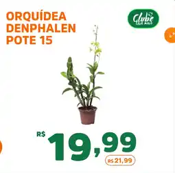 Supermercados Pague Menos Orquídea denphalen pote 15 oferta