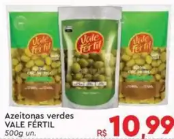 Komprao Atacadista Azeitonas verdes VALE FÉRTIL oferta