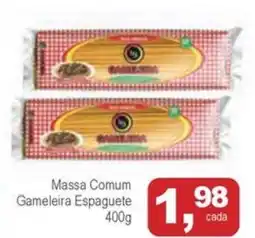 Mineirão Atacarejo Massa Comum Gameleira Espaguete oferta