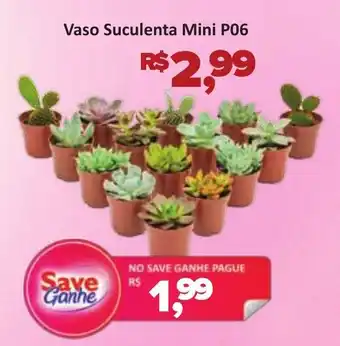 Supermercados Savegnago Vaso Suculenta Mini P06 oferta