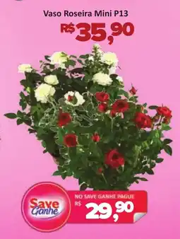 Supermercados Savegnago Vaso Roseira Mini P13 oferta