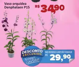 Supermercados Savegnago Vaso orquídea Denphalaen P15 oferta