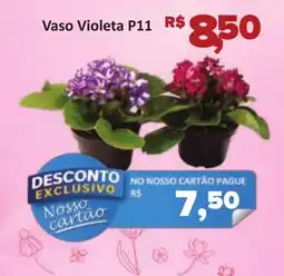 Supermercados Savegnago Vaso Violeta P11 oferta
