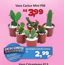 Supermercados Savegnago Vaso Cactus Mini P06 oferta