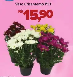 Supermercados Savegnago Vaso Crisantemo P13 oferta