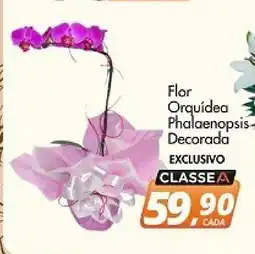 Delta Supermercados Orquídea Phalaenopsis Flor Decorada oferta
