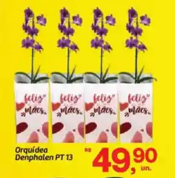 Fort Atacadista Orquídea Denphalen PT 13 oferta