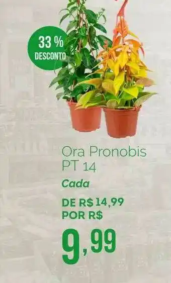 Ora Pronobis Pt 14