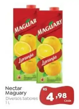 Novo Atacarejo Nectar Maguary Diversos Sabores oferta