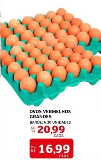 Ovos vermelhos grandes
