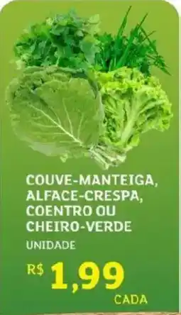 Assaí Atacadista Couve-manteiga, alface-crespa, coentro ou cheiro-verde oferta