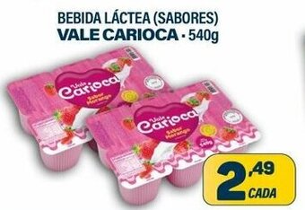 Bebida Lactea Vale Carioca 540g