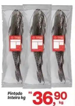 Fort Atacadista Pintado Inteiro oferta