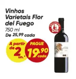 Dia Vinhos Varietais Flor del Fuego oferta