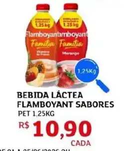 Assaí Atacadista Bebida láctea flamboyant sabores pet oferta