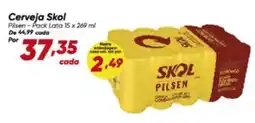 Dia Cerveja Skol oferta