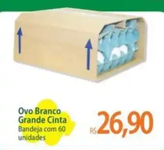Ovo Branco Grande Cinta