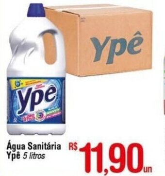 Fort Atacadista Agua Sanitaria Ype 5l oferta