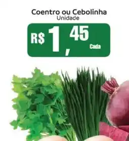 Supermercados Mateus Coentro ou Cebolinha oferta