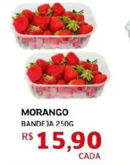 Assaí Atacadista Morango bandeja oferta