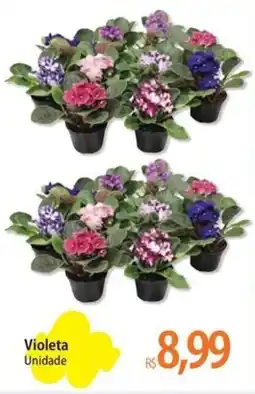 Atacadão Violeta Unidade oferta
