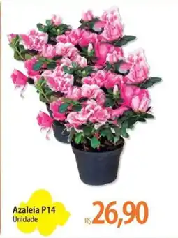 Atacadão Azaleia P14 Unidade oferta