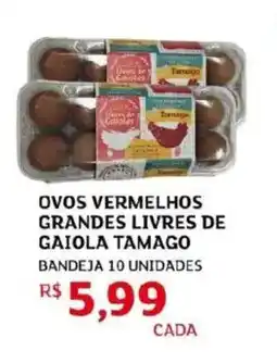 Assaí Atacadista Ovos vermelhos grandes livres de gaiola tamago oferta