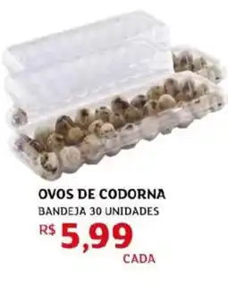 Assaí Atacadista Ovos de codorna oferta