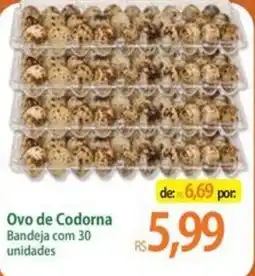 Atacadão Ovo de Codorna oferta