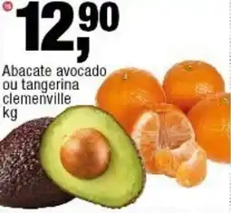 Frangolândia Abacate avocado ou tangerina clemenville oferta