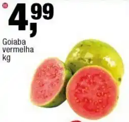 Frangolândia Goiaba vermelha oferta