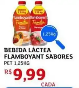 Assaí Atacadista Bebida láctea flamboyant sabores oferta