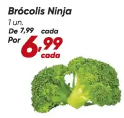 Dia Brócolis Ninja 1 un. oferta