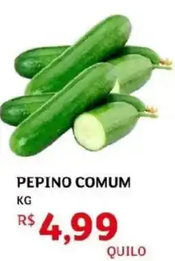 Assaí Atacadista Pepino comum oferta